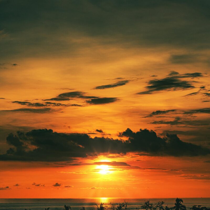 Captivating sunset over ocean with palm tree silhouettes and dramatic clouds.